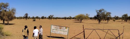 Missione di ricerca in Senegal (Férlo)