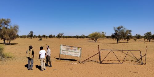 Missione di ricerca in Senegal (Férlo)