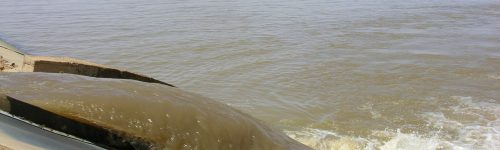 Ora disponibile in Open Access il volume Water and Land in the Sahel