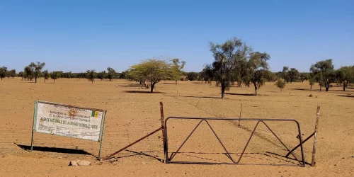 Pubblicazione: “The Great Green Wall: political ecology of a phantom project”